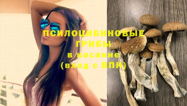 молекула духа Зерноград