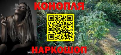 соль ск Гагарин